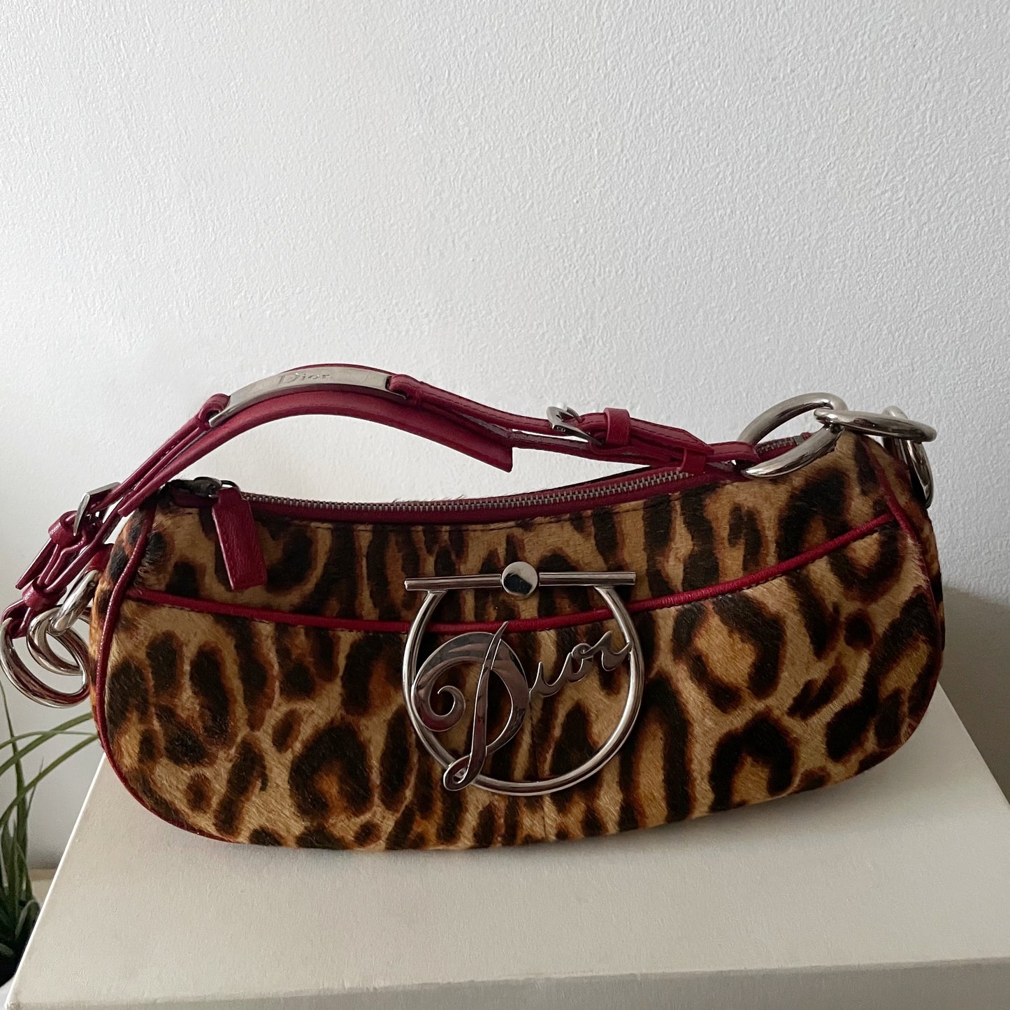 Dior by John Galliano F/W 2004 Leopard Print Pony-hair Bag with Silver Metal “Dior” Hardware