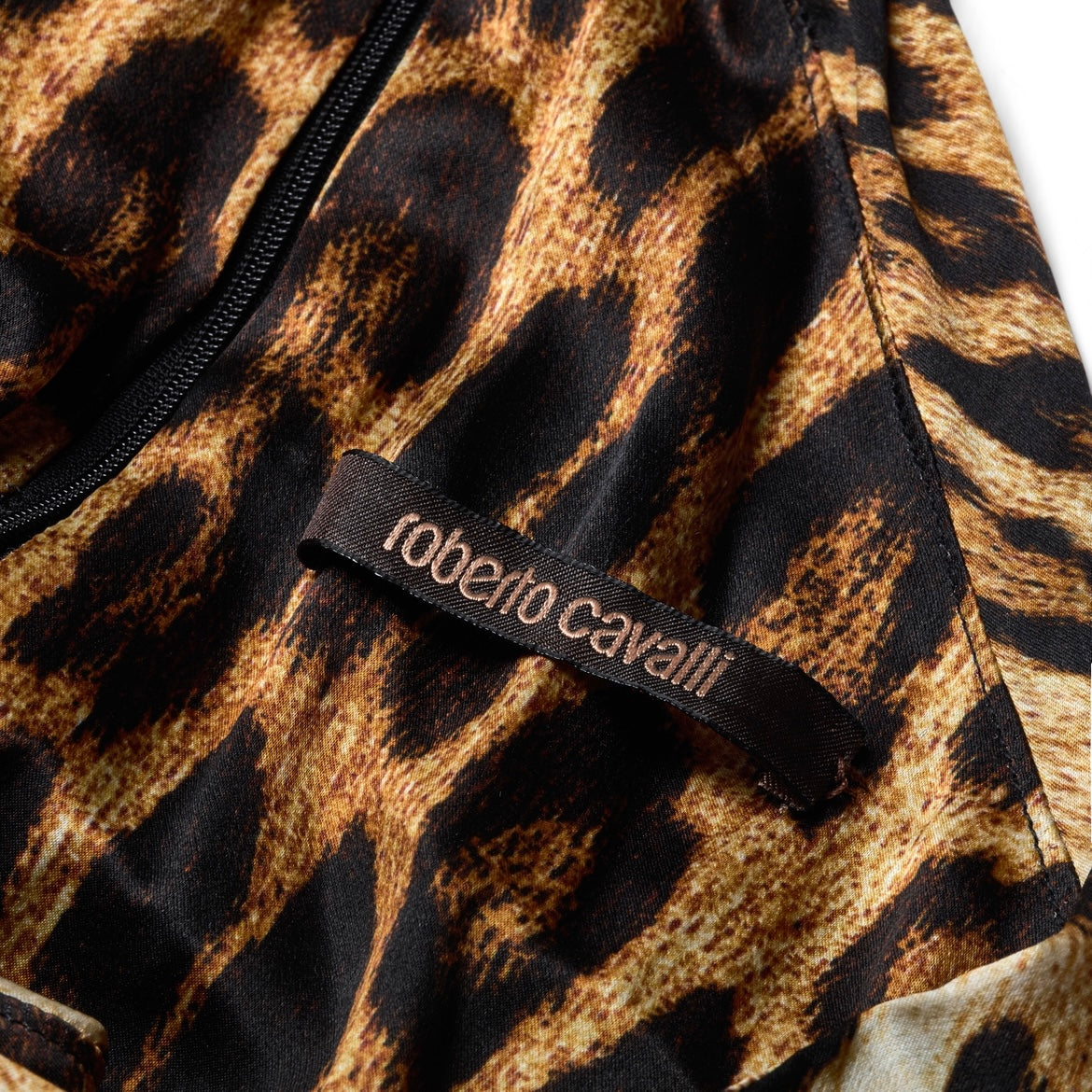 Roberto Cavalli S/S 2002 Silk Leopard Print Halter-neck Dress